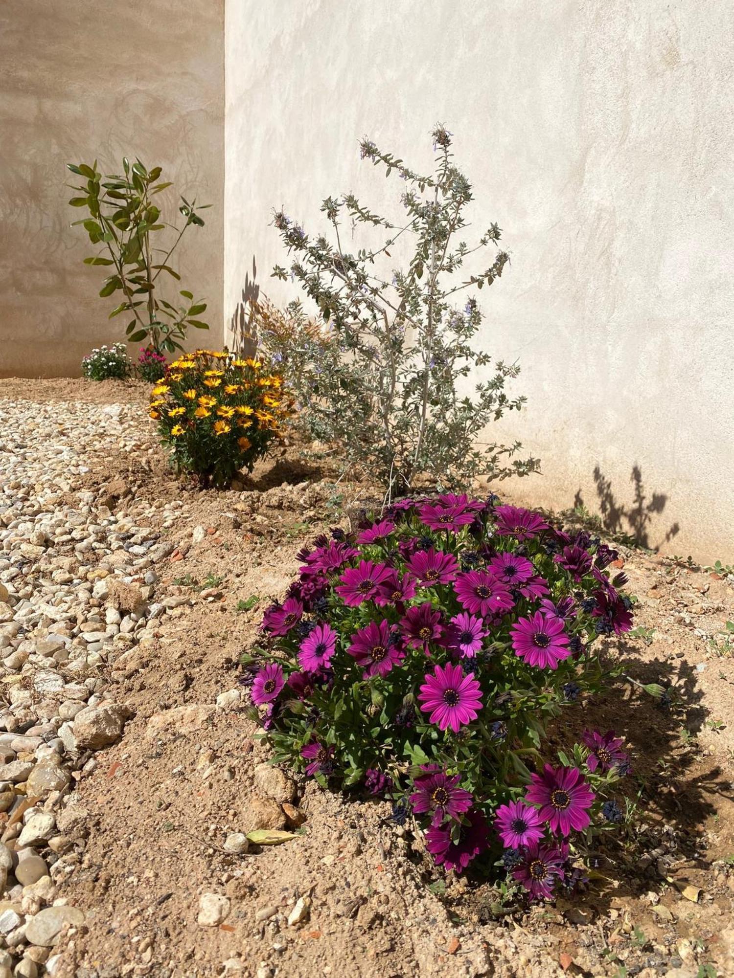 La Mancha Suites Casa Rural Pedro Muñoz Eksteriør bilde